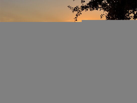 Romantic Sunset- BawBaw